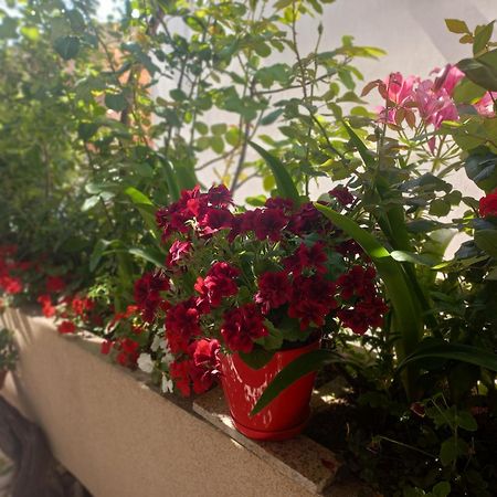 Apartments Gazi Ulcinj Bagian luar foto